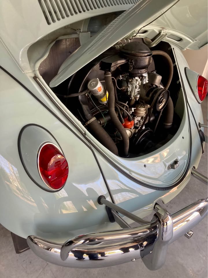 1965 Volkswagon Beetle Deluxe