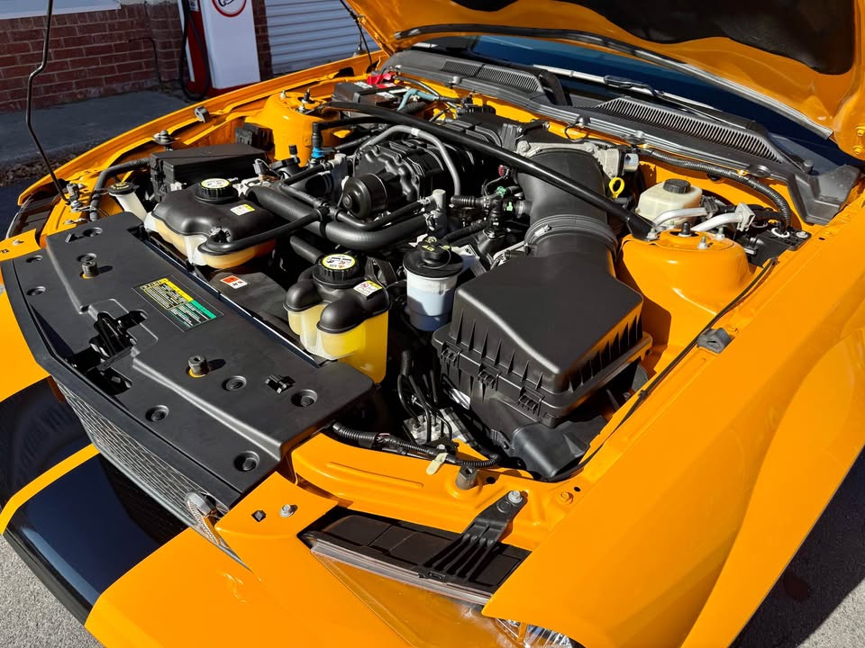 2008 Ford Shelby GT500